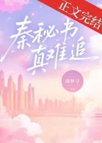 秦宓怎么样