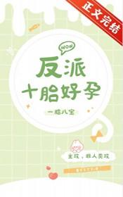 反派十胎好孕[泪奔