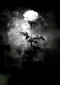 藏起来的喜欢全文免费阅读