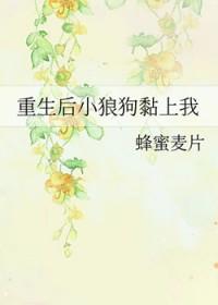 重生后我和小狼狗he了壹枚