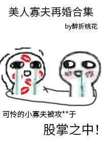 美人寡夫再婚合集笔趣阁在线阅读